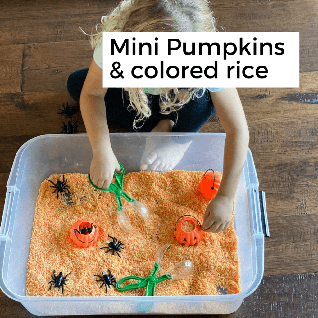 girl playing with pumpkins in colored rice