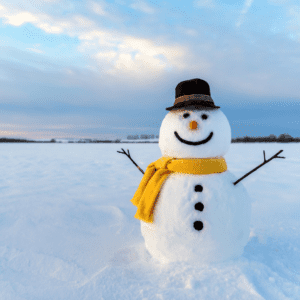 Snowman Week Activity Plan